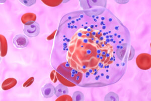 A closeup of a triple negative breast cancer (TNBC) cell