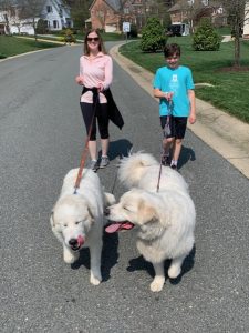 Dr. Neuman and her son and dogs